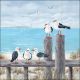 Seagulls on the dock Design