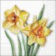Flowering daffodils Design Napkin Lunch