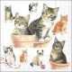 Cute kittens Design Napkin Lunch