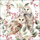 Barn Owl Couple White Design