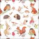 Woodland Animals Napkin Lunch