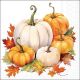 Pumpkin Season Napkin Lunch