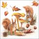 Squirrels Go Nuts Napkin Lunch
