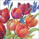 Tulips of Joy Design