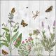 Herb Garden Design