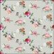Charlotte Stone Design