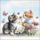 Kittens in Flower Field Design