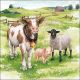 Farm Animals Napkin Lunch