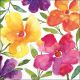 Happy Bloomers Design