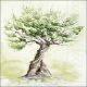 Olive Tree Napkin Lunch