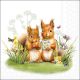 Little Squirrels Design