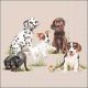 Playing Puppies Design