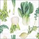 Fresh Veggies White Napkin Lunch