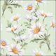 Beautiful Daisies Green Design