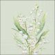 Lily of the Valley Green Design