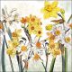 Narcissus Napkin Lunch
