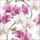 Elegant Orchids White Design