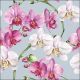Elegant Orchids Blue Design