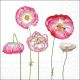 Pale Poppies Design