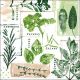 Herb Prints White Napkin Lunch
