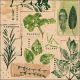 Recycled Herb Prints Nature Napkin Lunch