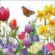 Spring Feeling Design