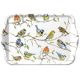  Birds Meeting Small Tray