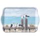 Seagulls on the dock Design Tray