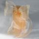 Crystal Organdy Ribbon 2 inch by 55 yards Sahara