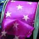 Wired Semi Sheer  Stars 2.5 Inch  20 Yards  Wine