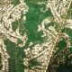 Wired Sheer Ornamental Print 4 Inch 20 Yards Hunter/gold