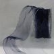Wire Edge Organza 2 inch by 27 yards Royal/Silver Edge