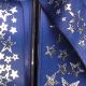Printed Satin Star 1.5 Inch 27 Yards Silver/navy