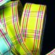 Wired Summer Plaid 