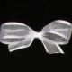 Satin Edge Organdy  Georgette