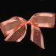 Satin Edge Organdy  Georgette