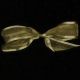 Satin Edge Organdy  Georgette