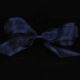 Satin Edge Organdy  Georgette