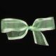 Satin Edge Organdy  Georgette