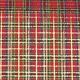 Cut Edge Tartan Ribbon 2 Inch  33 Yards Comb. 5