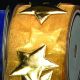 Stars on Organza 2