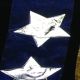 Stars on Organza 2