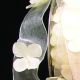 Wired Sheer Ribbon W Flowers 1.5 Inch 22 Yards Ivory