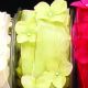 Wired Sheer Ribbon W Flowers 1.5 Inch 22 Yards Green