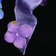Wired Sheer Ribbon W Flowers 1.5 Inch 22 Yards Mauve