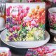 Tulips Design