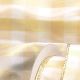 Wire Edge Sheer Chopin 2 Inch  20 Yards Gold Cream
