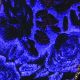 Wire Edge Soft Velvet Roses 2.5 Inch 20 Yards   Navy