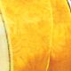 French Wired Sheer Floral 2.5 Inch 20 Yards Yellow