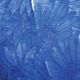 French Wired Sheer Floral 2.5 Inch 20 Yards Blue